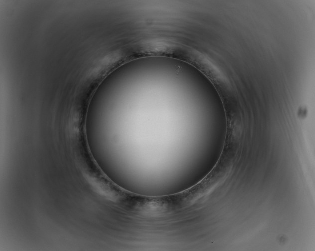 X0000101450546200807071408