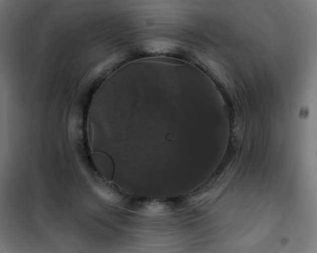 X0000101450547200807071408