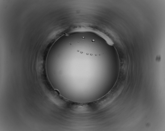 X0000101450548200807071408