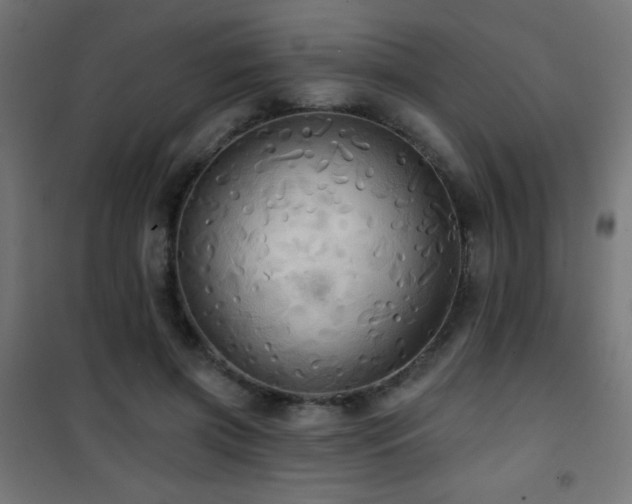 X0000101450549200807071408