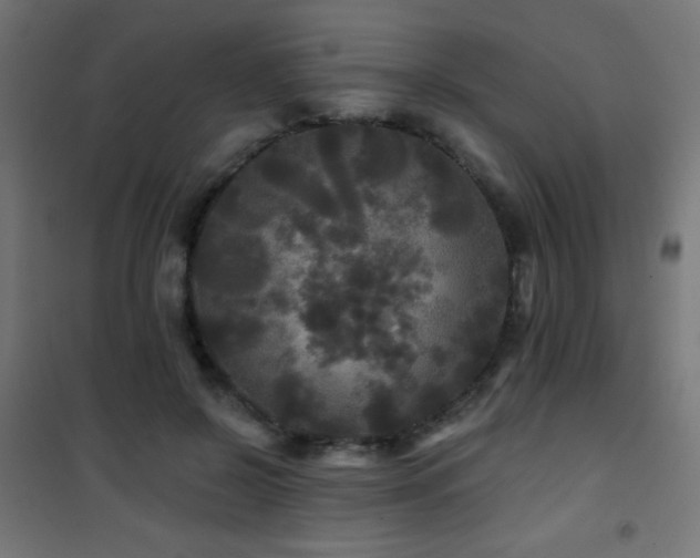 X0000101450550200807071408
