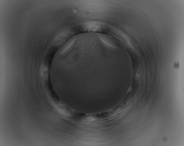 X0000101450551200807071408