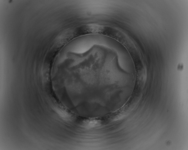 X0000101450553200807071408