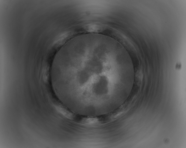 X0000101450554200807071408