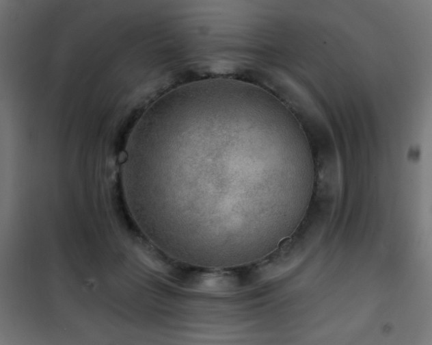 X0000101450555200807071408