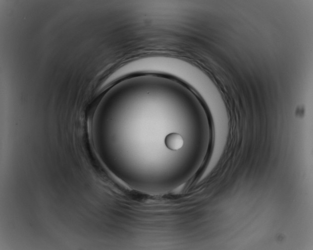X0000101450556200807071408