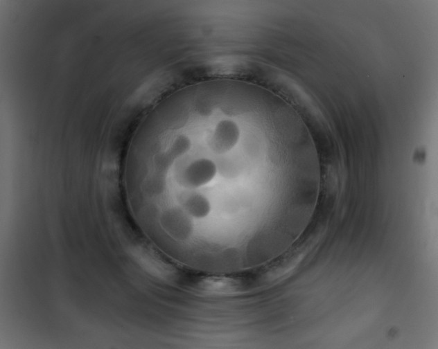 X0000101450557200807071408