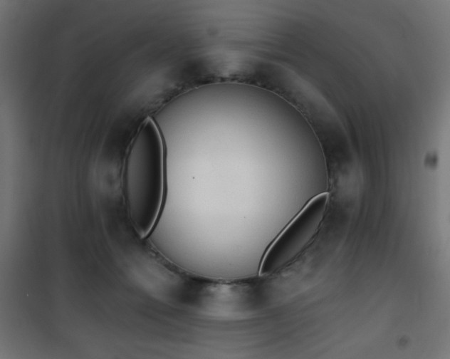 X0000101450558200807071408