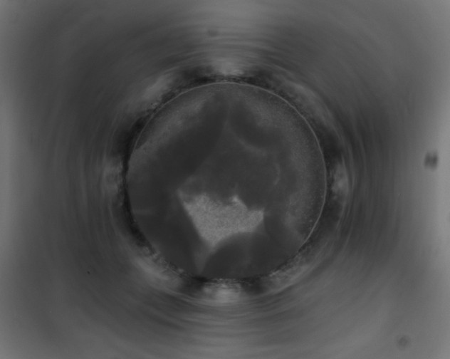 X0000101450559200807071408