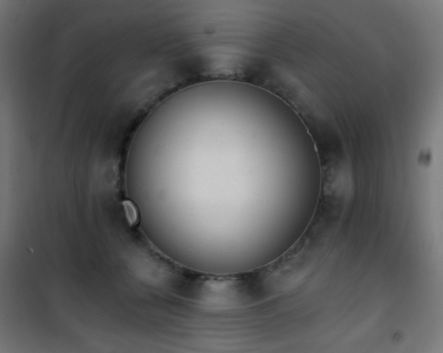 X0000101450560200807071408