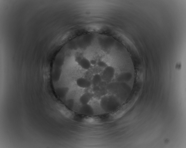 X0000101450561200807071408