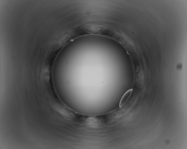 X0000101450562200807071408