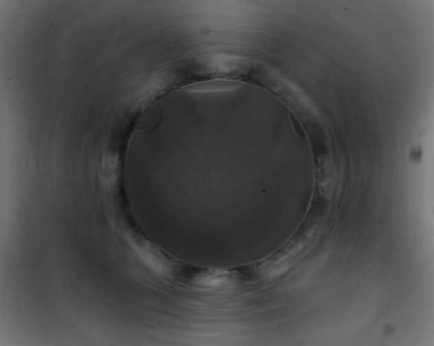 X0000101450563200807071408