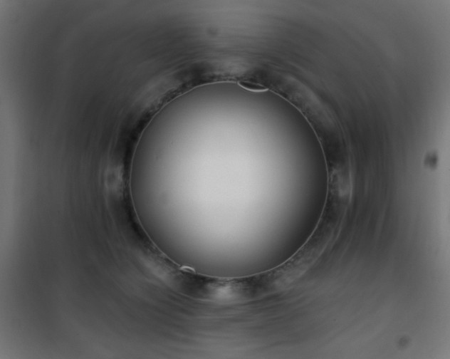 X0000101450564200807071408