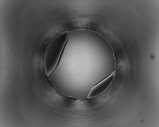 X0000101450566200807071408