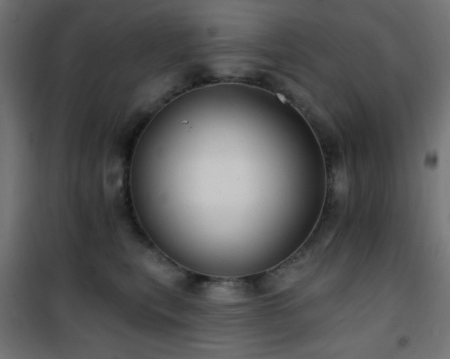 X0000101450567200807071408