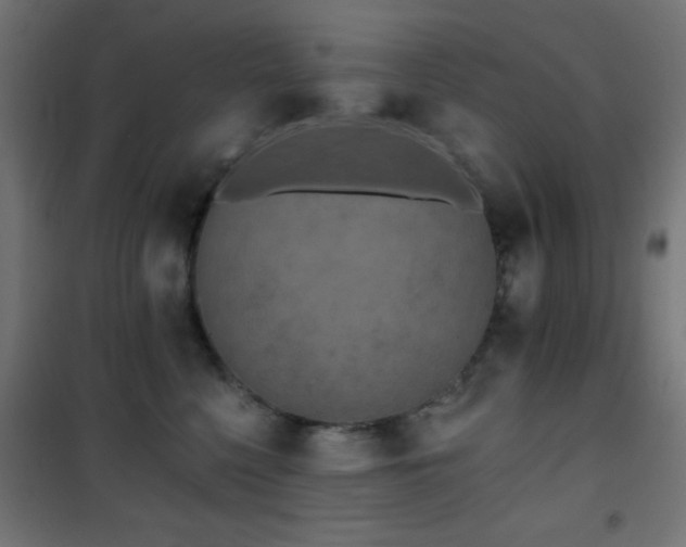 X0000101450568200807071408