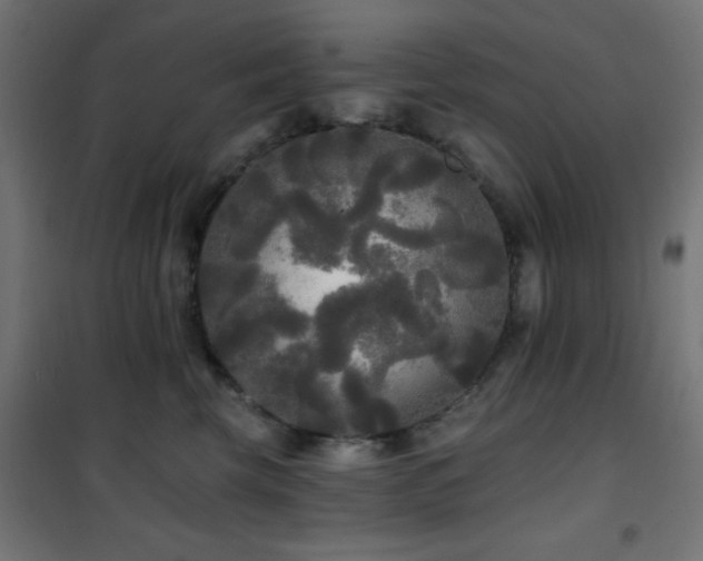 X0000101450569200807071408