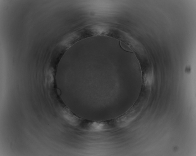X0000101450570200807071408