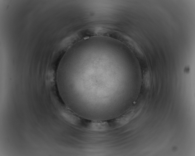 X0000101450571200807071408