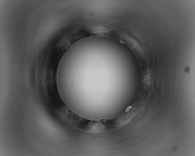 X0000101450572200807071408