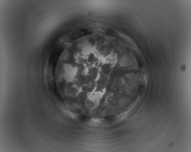 X0000101450573200807071408