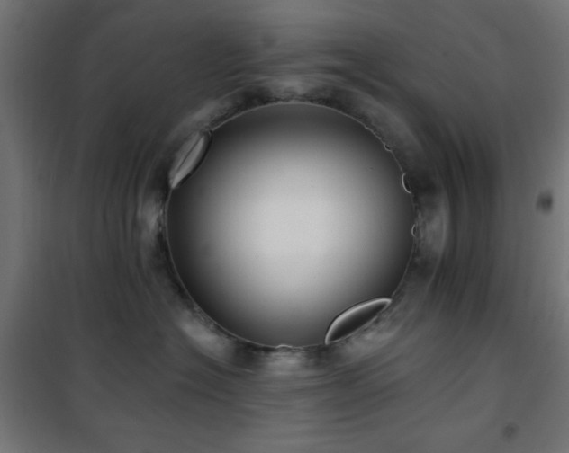 X0000101450574200807071408