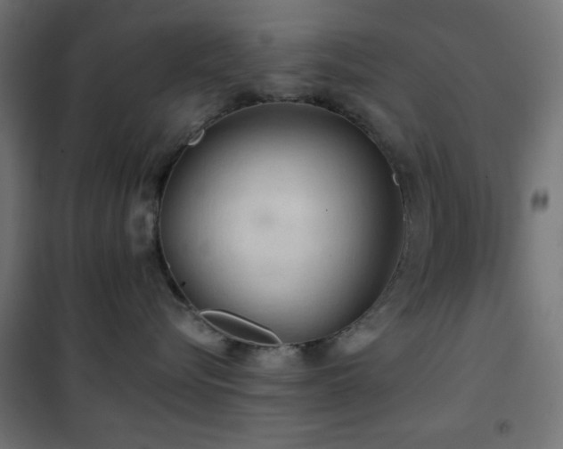 X0000101450576200807071408