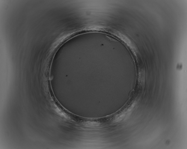 X0000101450577200807071408
