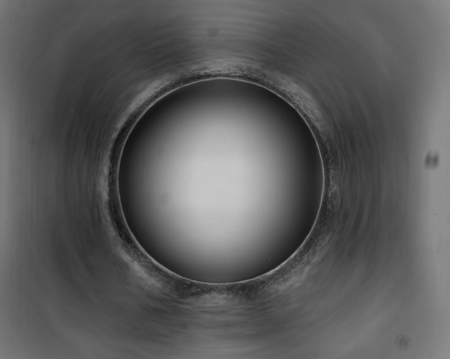 X0000101450578200807071408