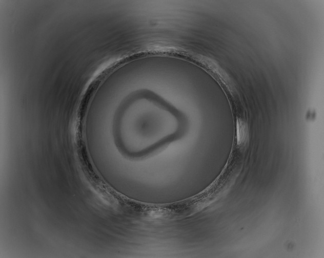 X0000101450579200807071408