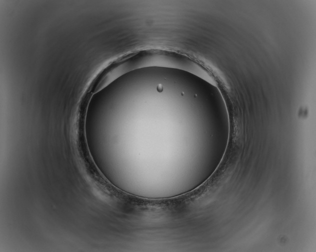 X0000101450580200807071408