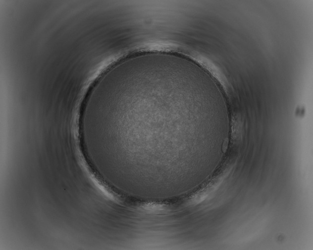 X0000101450581200807071408