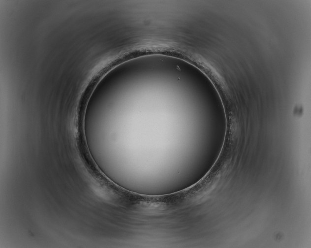 X0000101450582200807071408