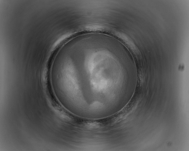 X0000101450583200807071408
