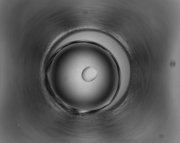 X0000101450584200807071408