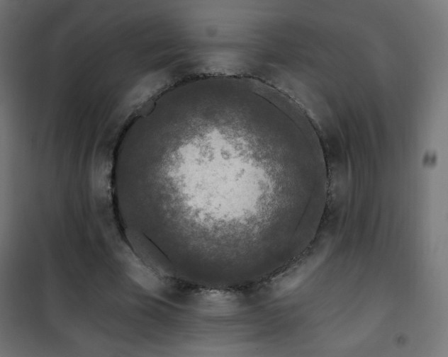 X0000101450585200807071408