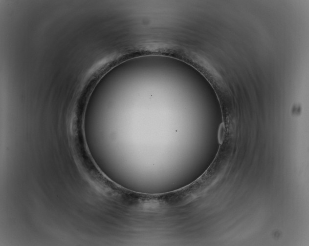 X0000101450587200807071408
