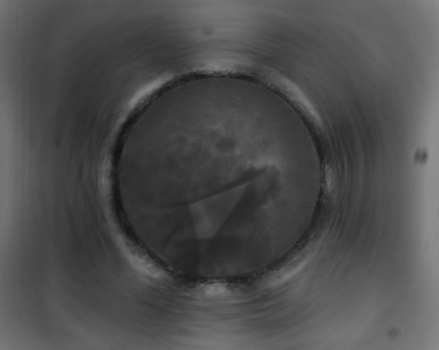 X0000101450588200807071408