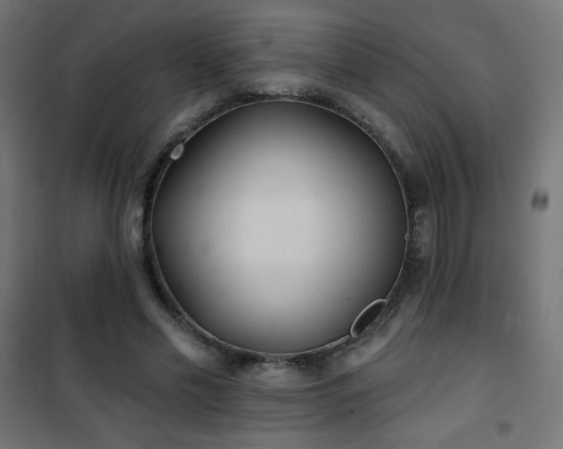 X0000101450589200807071408