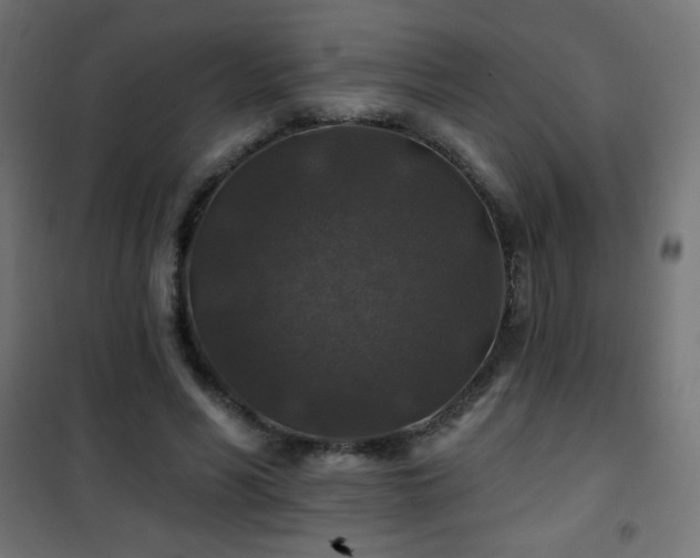 X0000101450590200807071408