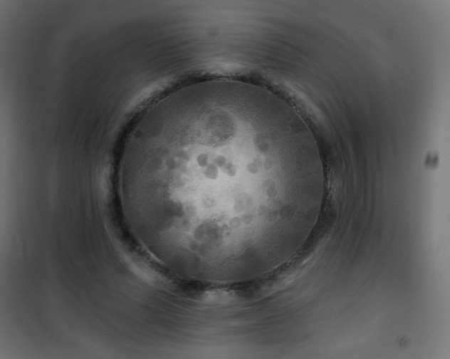 X0000101450591200807071408
