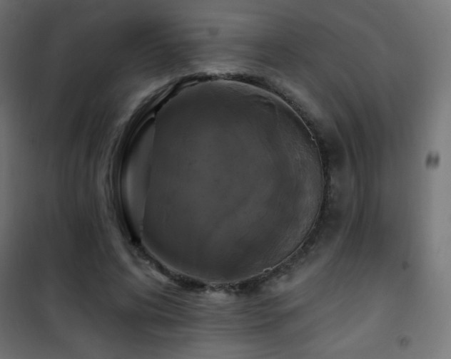 X0000101450592200807071408