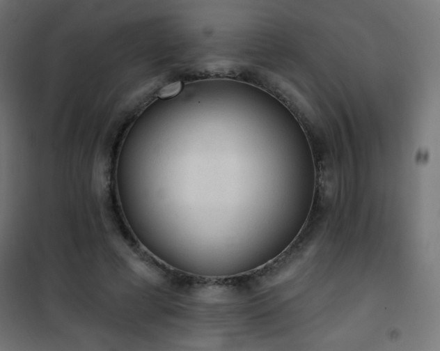 X0000101450593200807071408