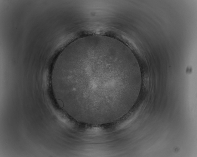 X0000101450594200807071408