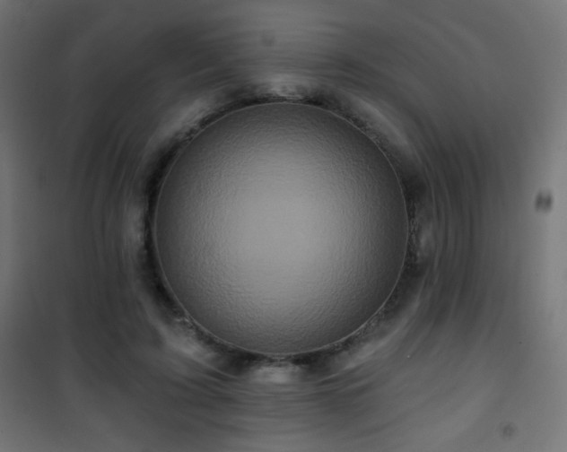 X0000101450595200807071408