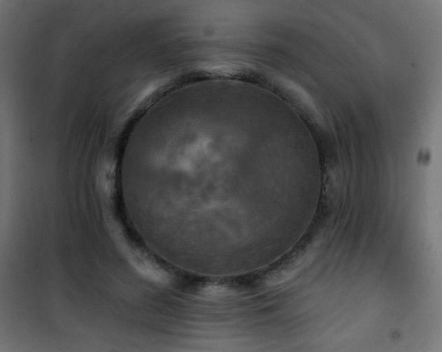 X0000101450596200807071408