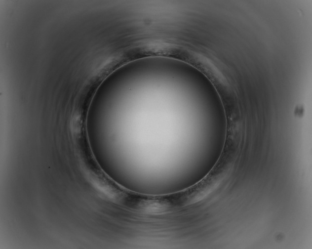 X0000101450597200807071408