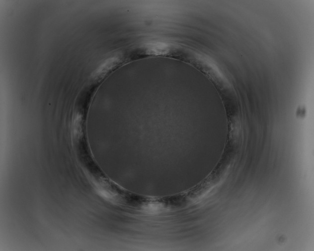 X0000101450598200807071408