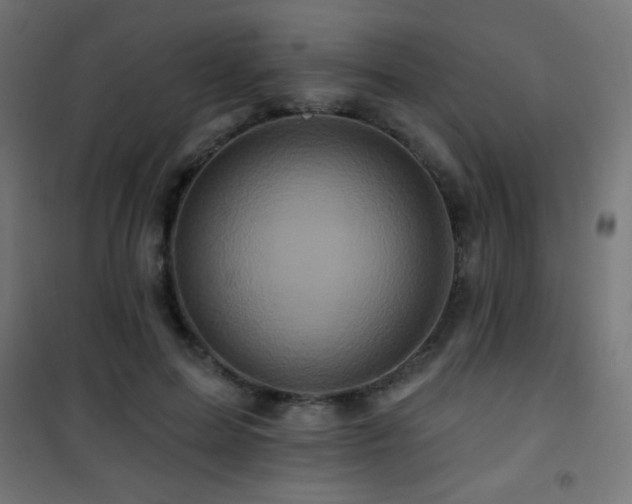 X0000101450599200807071408